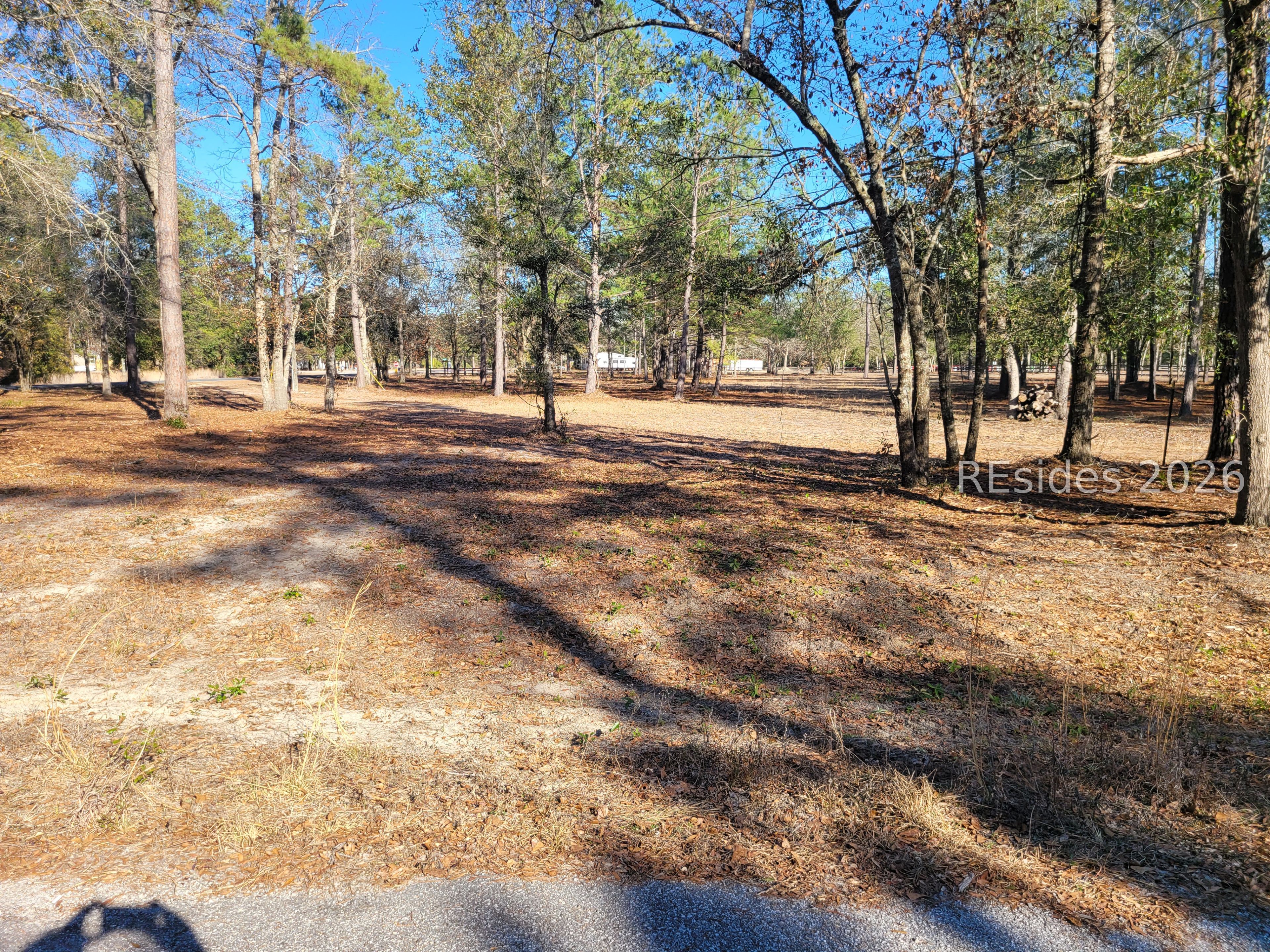 Tbd Beaver Dam Road Ridgeland, SC 29936 - Photo 2 of 10