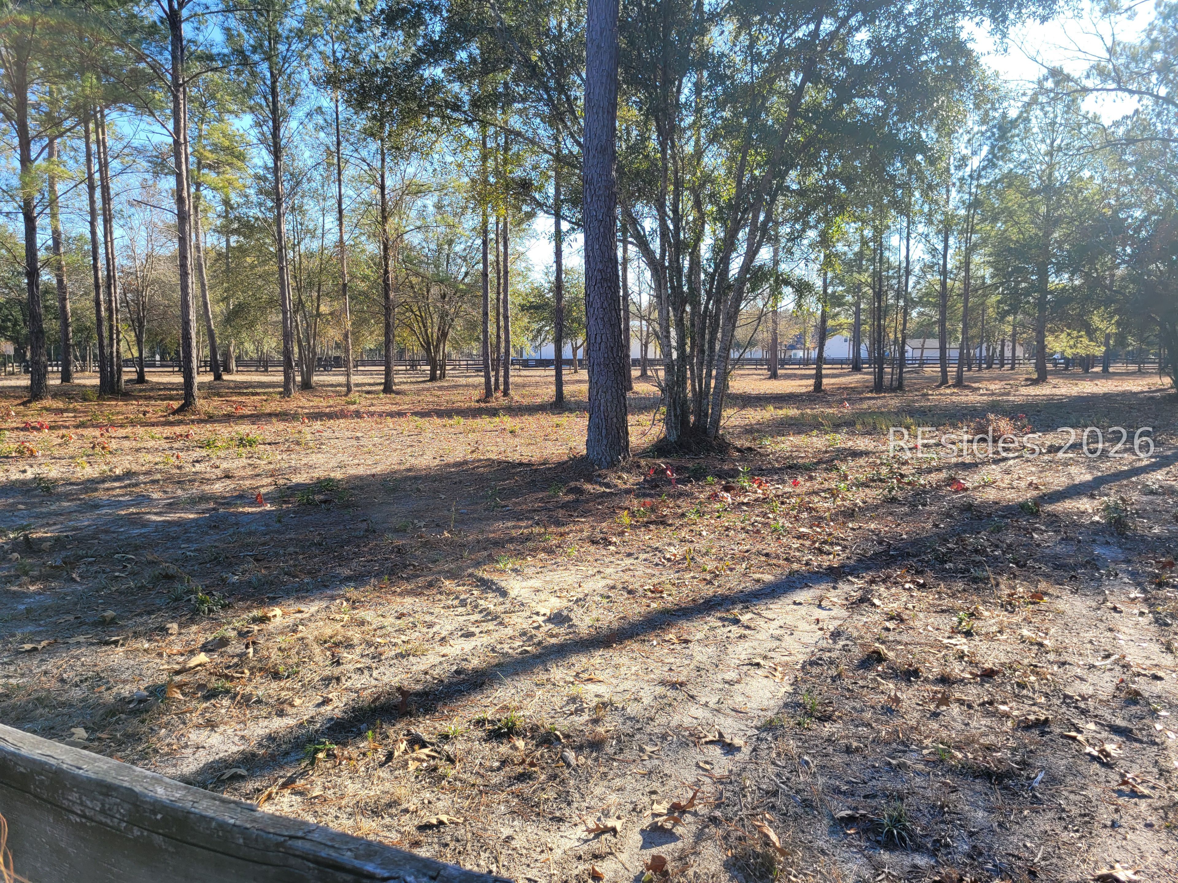 Tbd Beaver Dam Road Ridgeland, SC 29936 - Photo 5 of 10