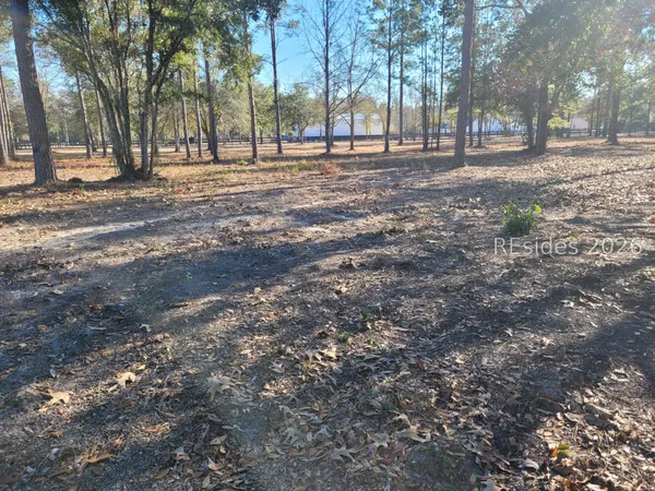 $85,000 | Tbd Beaver Dam Road, Ridgeland, SC 29936