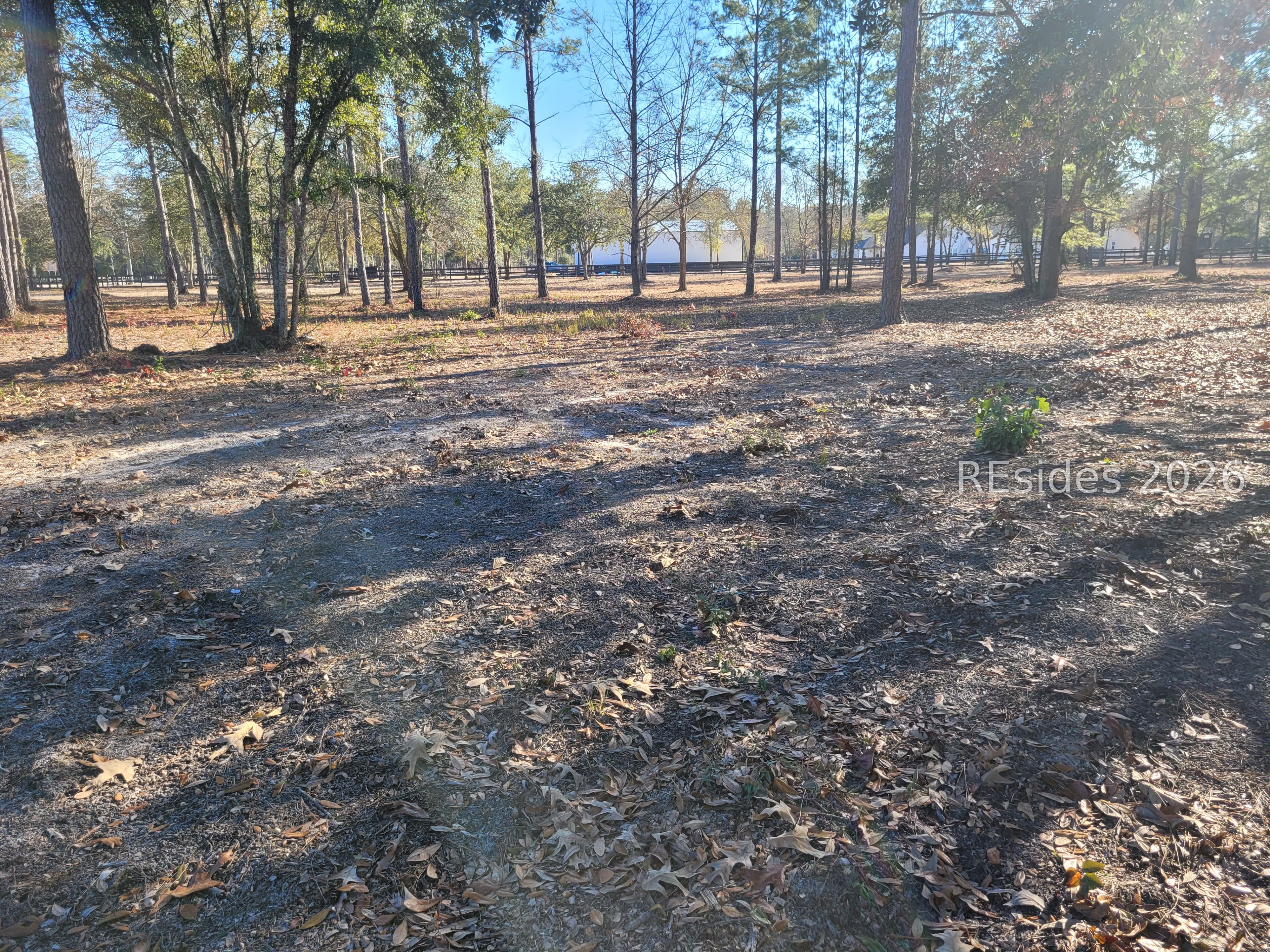 Tbd Beaver Dam Road Ridgeland, SC 29936 - Photo 6 of 10