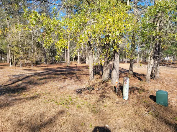 $85,000 | Tbd Beaver Dam Road, Ridgeland, SC 29936