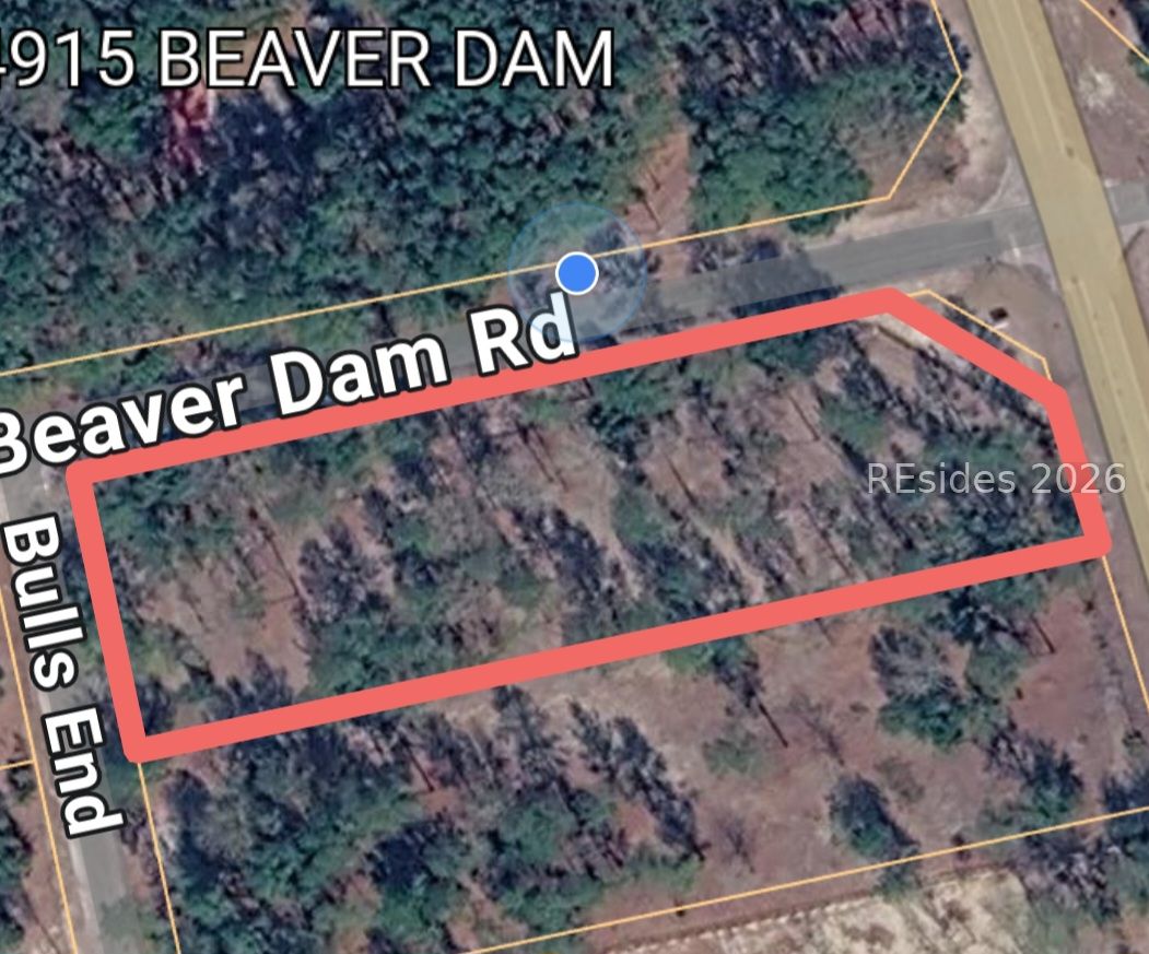 Tbd Beaver Dam Road Ridgeland, SC 29936 - Photo 10 of 10