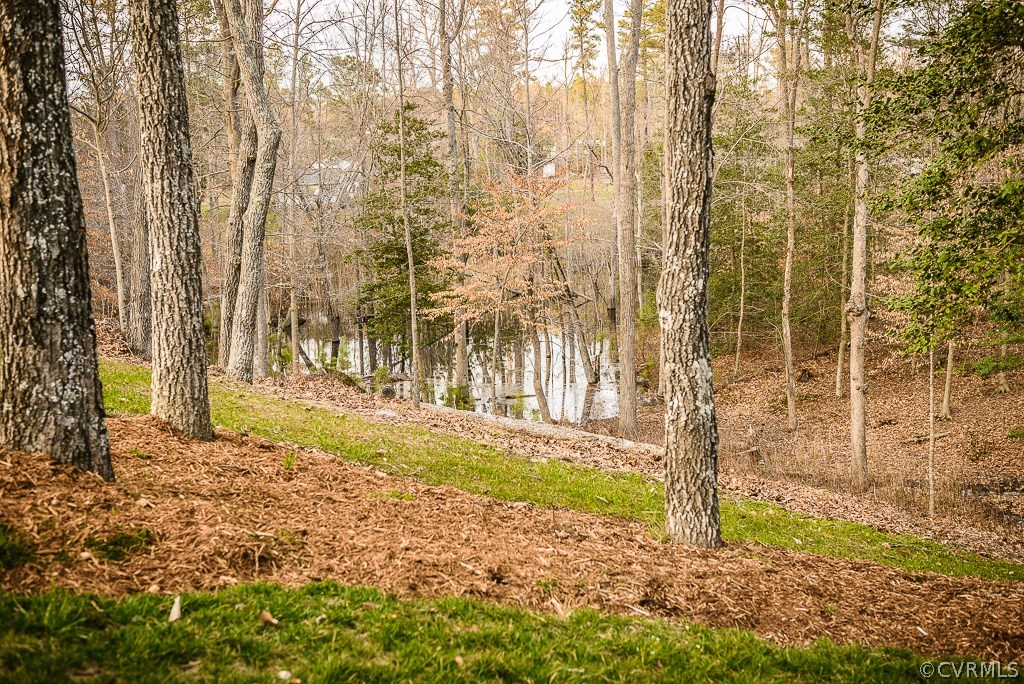 4115 North Courthouse Road Providence Forge, VA 23140 - Photo 20 of 22 Gallery Image 20
