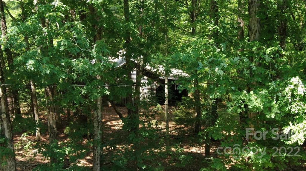 10749 Harrisburg Road Indian Land, SC 29707 - Photo 18 of 38 a view of a tree