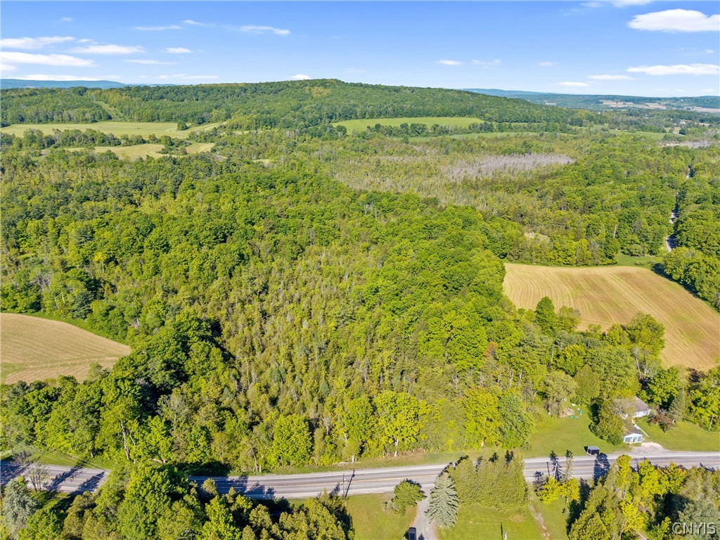 Nelson Road Cazenovia, NY 13035 - Photo 8 of 15