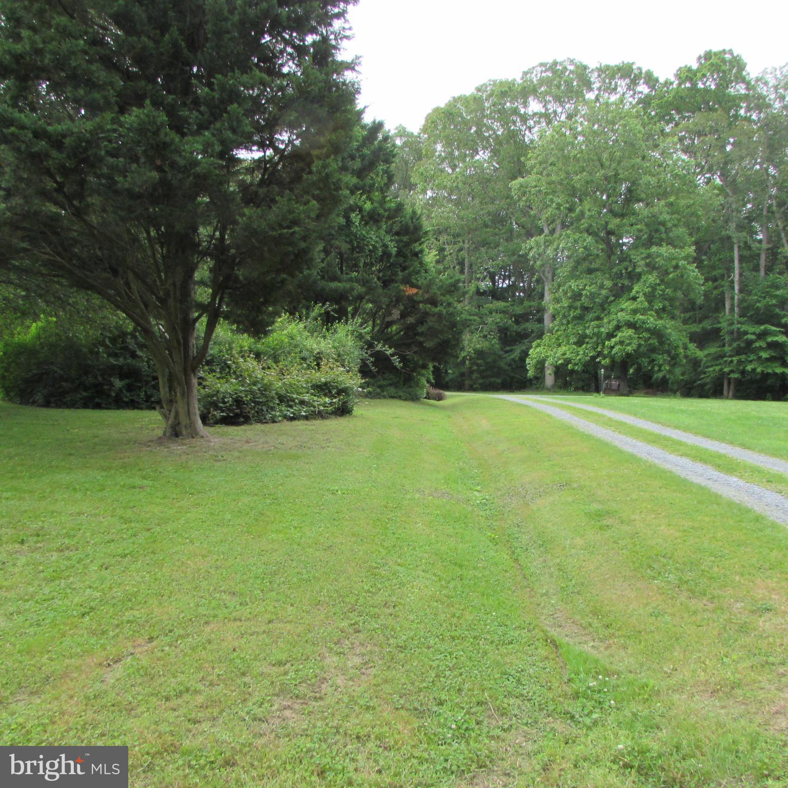 5935 Bay Acres Road Trappe, MD 21673 - Photo 5 of 6 Gallery Image 5