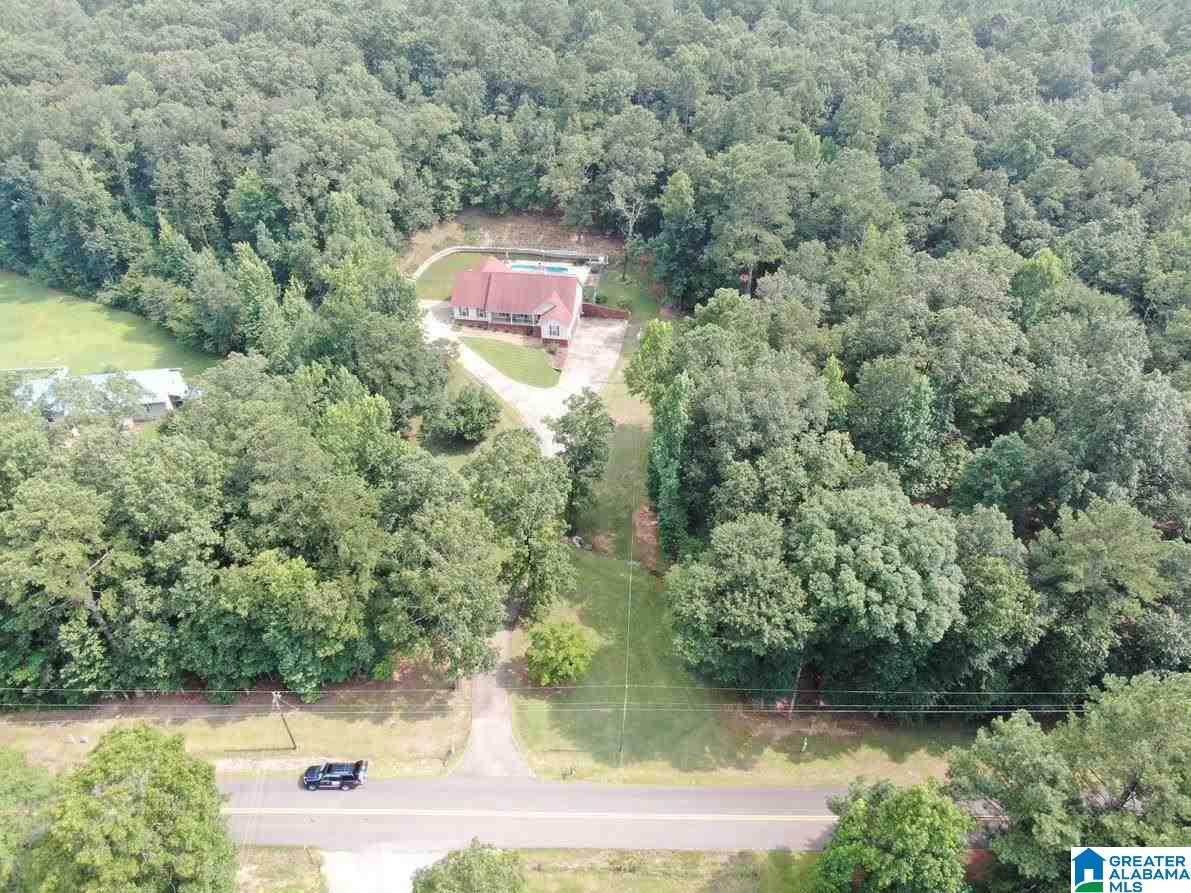 850 Deer Trace Road Pell City, AL 35125 - Photo 2 of 46