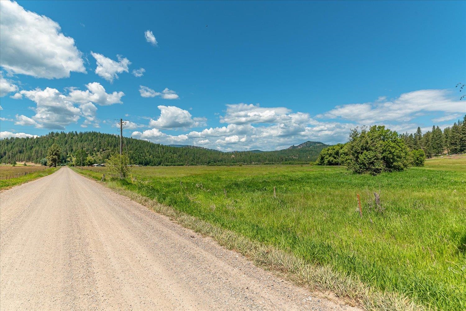 29-xx Red Marble Road Chewelah, WA 99109 - Photo 6 of 39