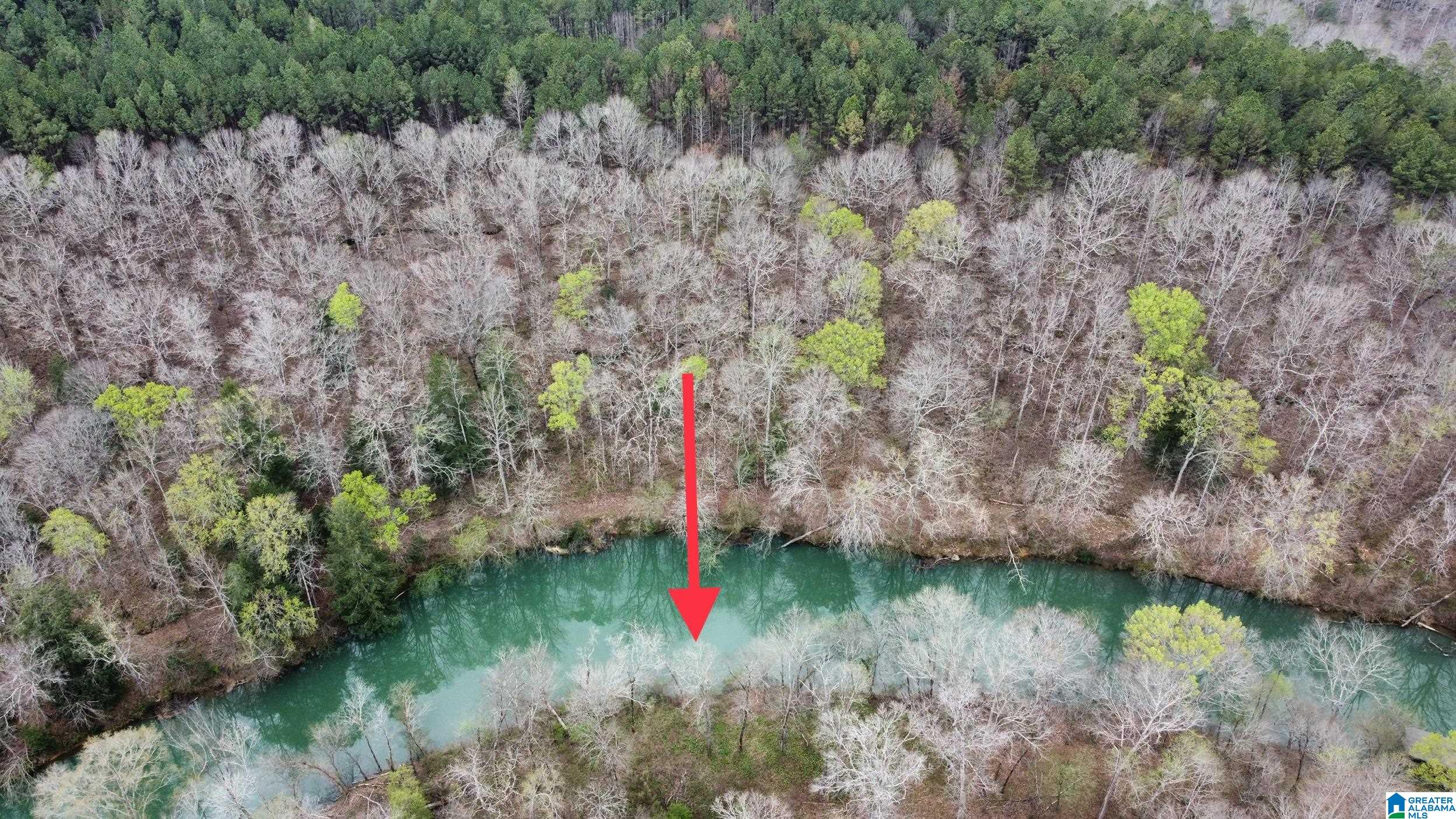 Lot 16 Turkey Bend Drive, Unit 16 Addison, AL 35540 - Photo 18 of 19