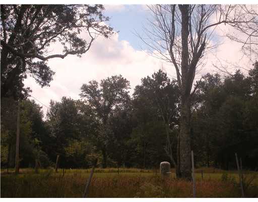 12371 Acy Ladner Road Pass Christian, MS 39571 - Photo 7 of 8 Additional Photo