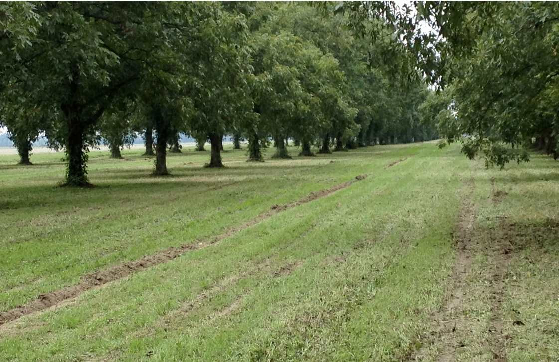 0 McKnight Road Cleveland, MS 38732 - Photo 1 of 5 Photo 1