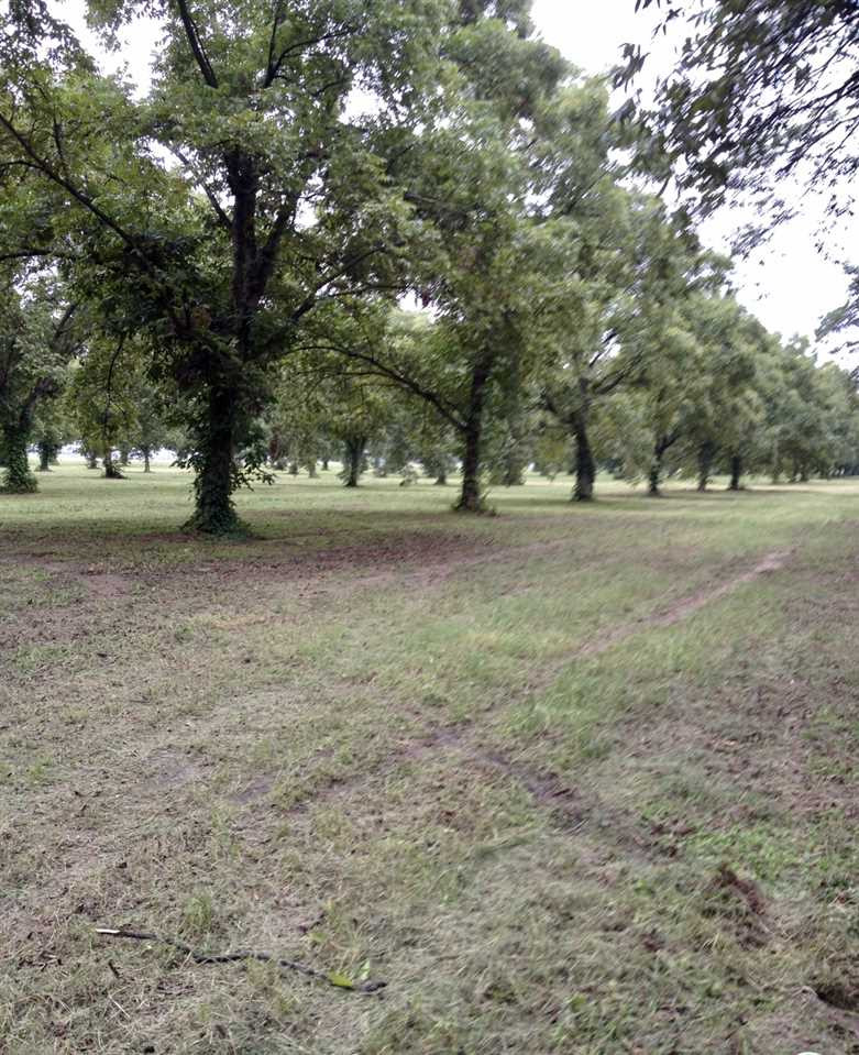 0 McKnight Road Cleveland, MS 38732 - Photo 2 of 5 Photo 2