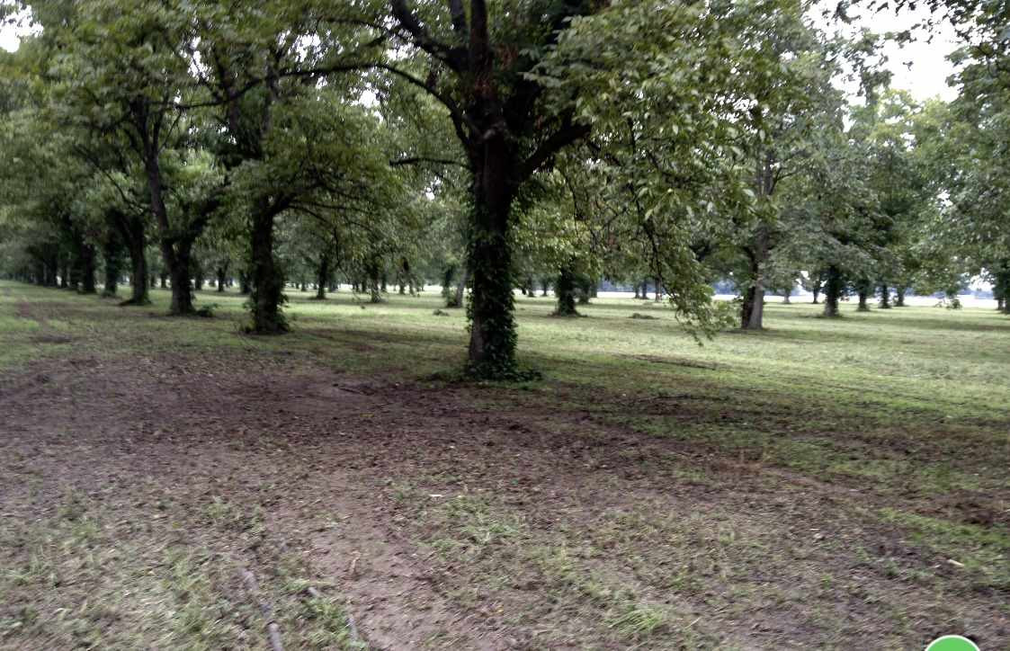 0 McKnight Road Cleveland, MS 38732 - Photo 3 of 5 Photo 3