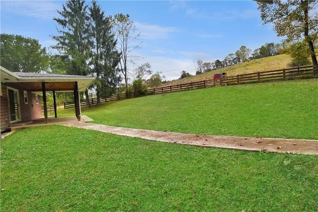 a view of a park with large trees