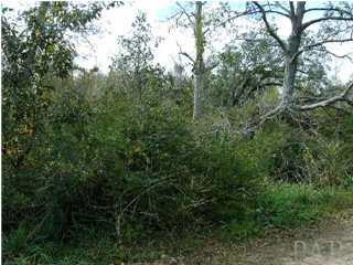 0 Tate School Road Lillian, FL 36549 - Photo 1 of 2