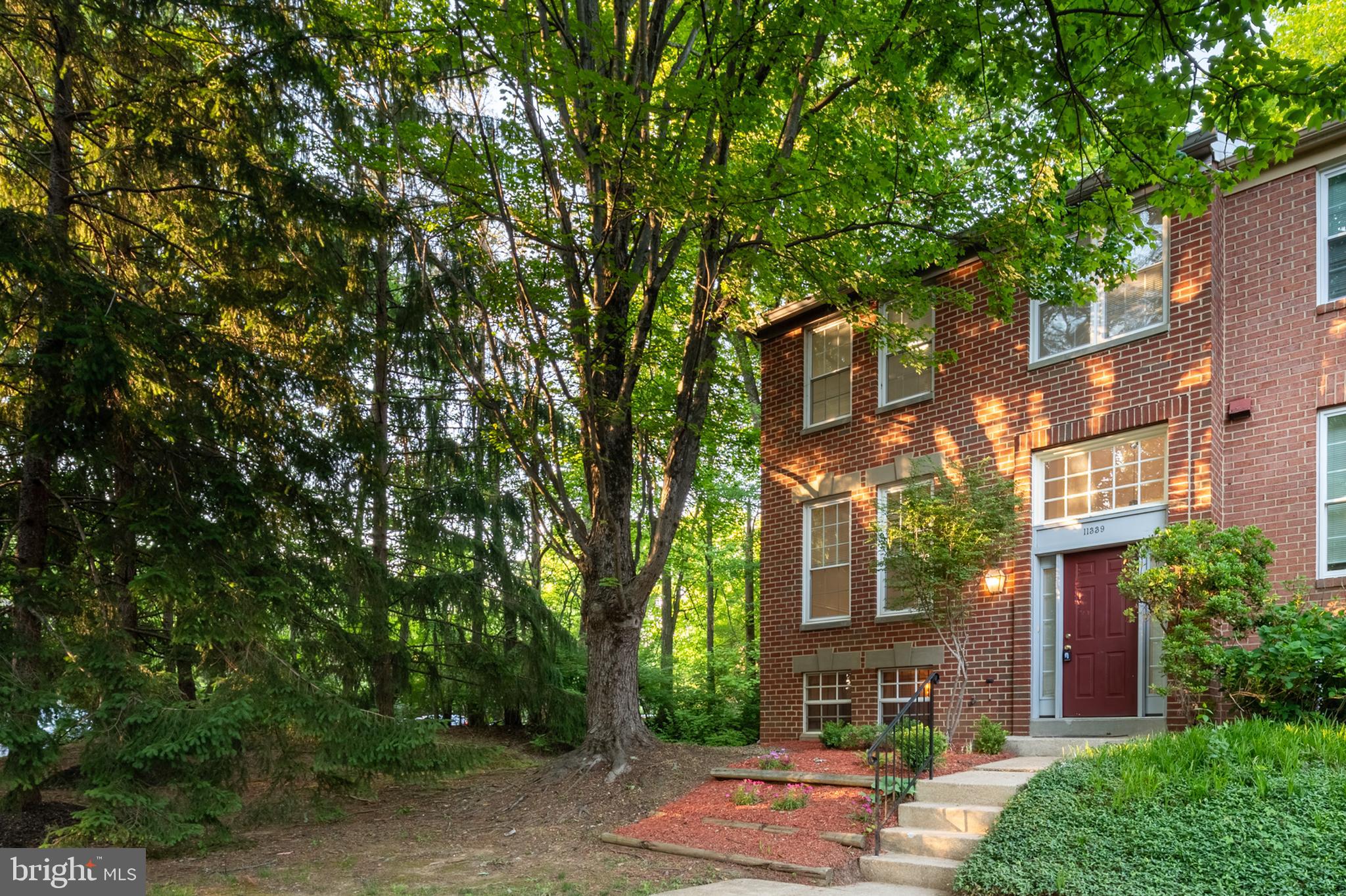 11339 Baroque Road Silver Spring, MD 20901 - Photo 2 of 39