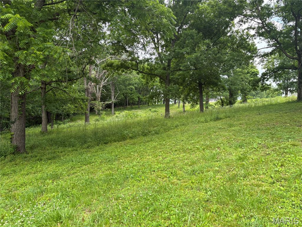 7440 Highway 17 Houston, MO 65483 - Photo 13 of 40
