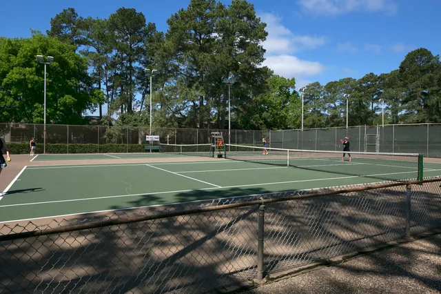 a view of a tennis ground with large trees