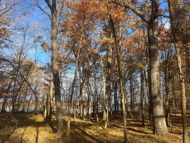 $155,000 | Tbd Marl Road, Spooner, WI 54801