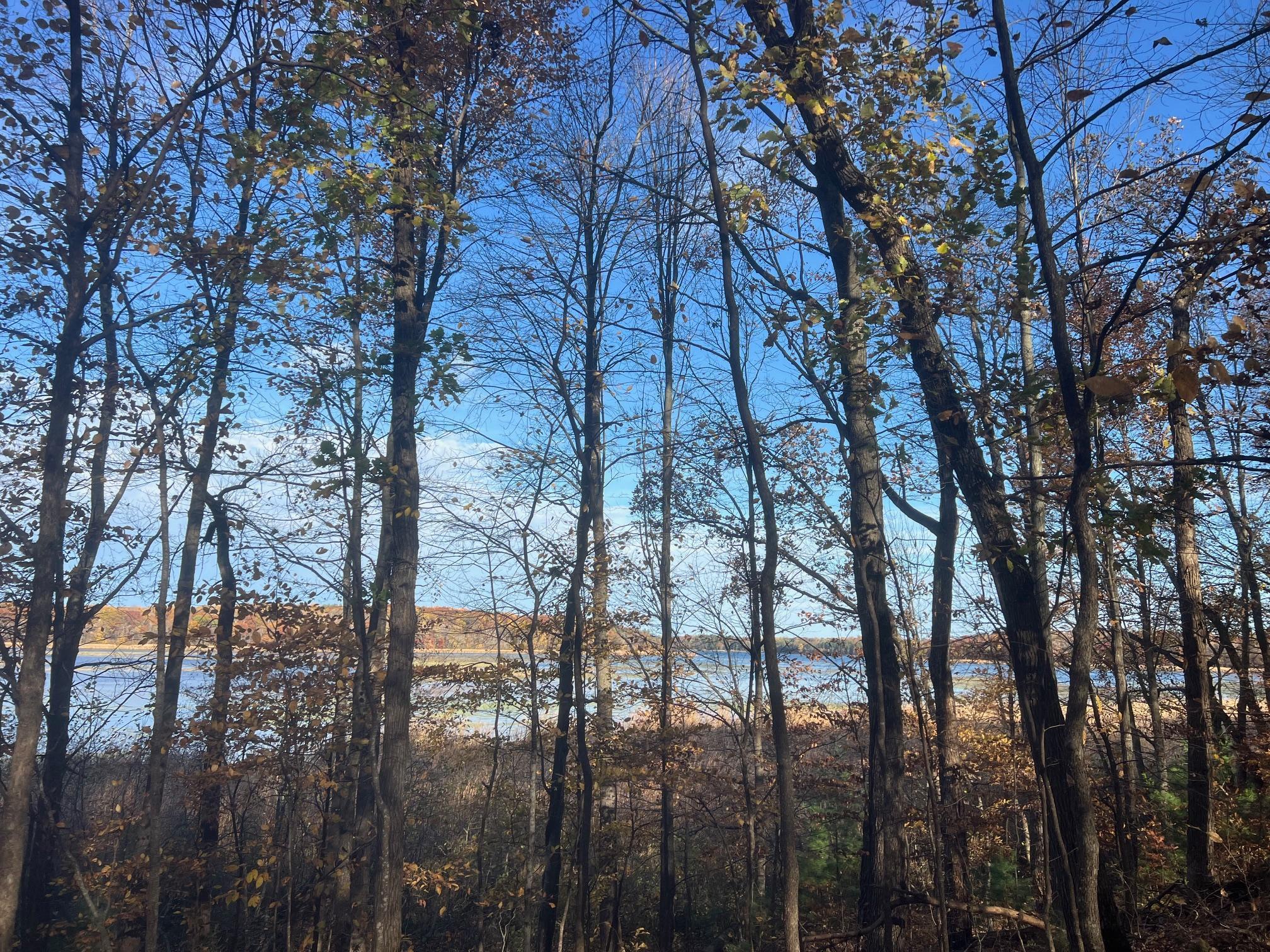 Tbd Marl Road Spooner, WI 54801 - Photo 15 of 21