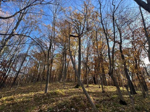 $155,000 | Tbd Marl Road, Spooner, WI 54801