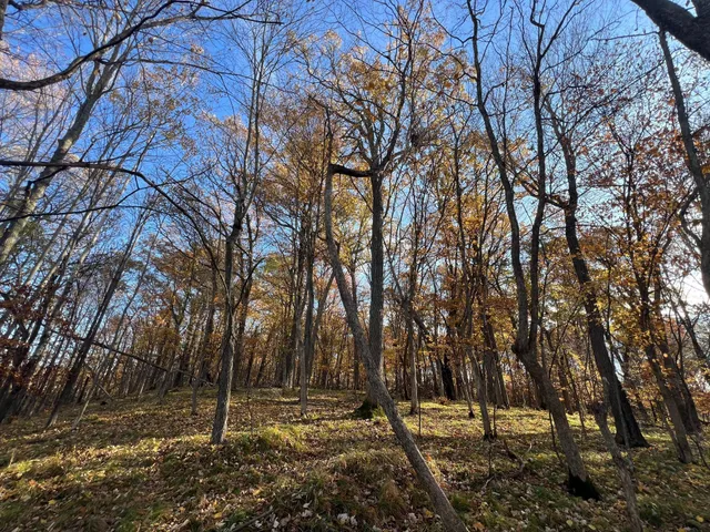 $155,000 | Tbd Marl Road, Spooner, WI 54801