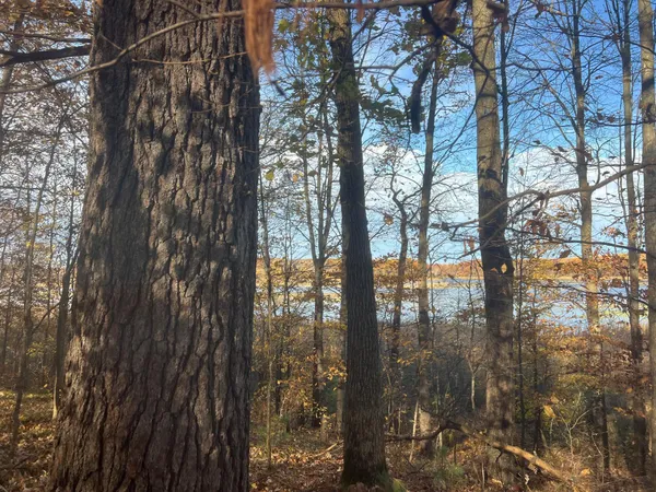 $155,000 | Tbd Marl Road, Spooner, WI 54801