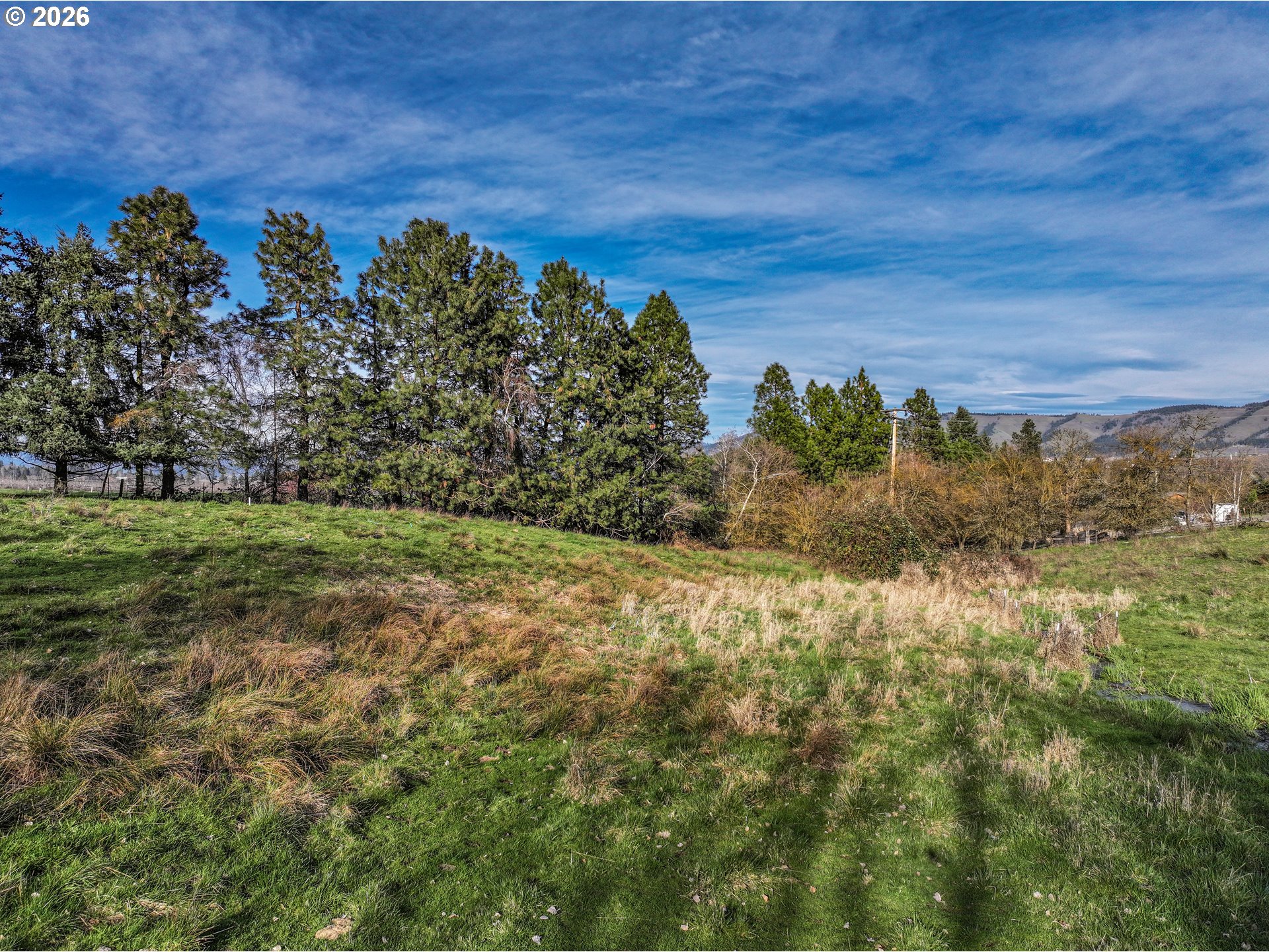 2739 Wyeast Road Hood River, OR 97031 - Photo 6 of 28 a view of a field with an trees