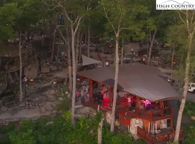 a close up of a tree