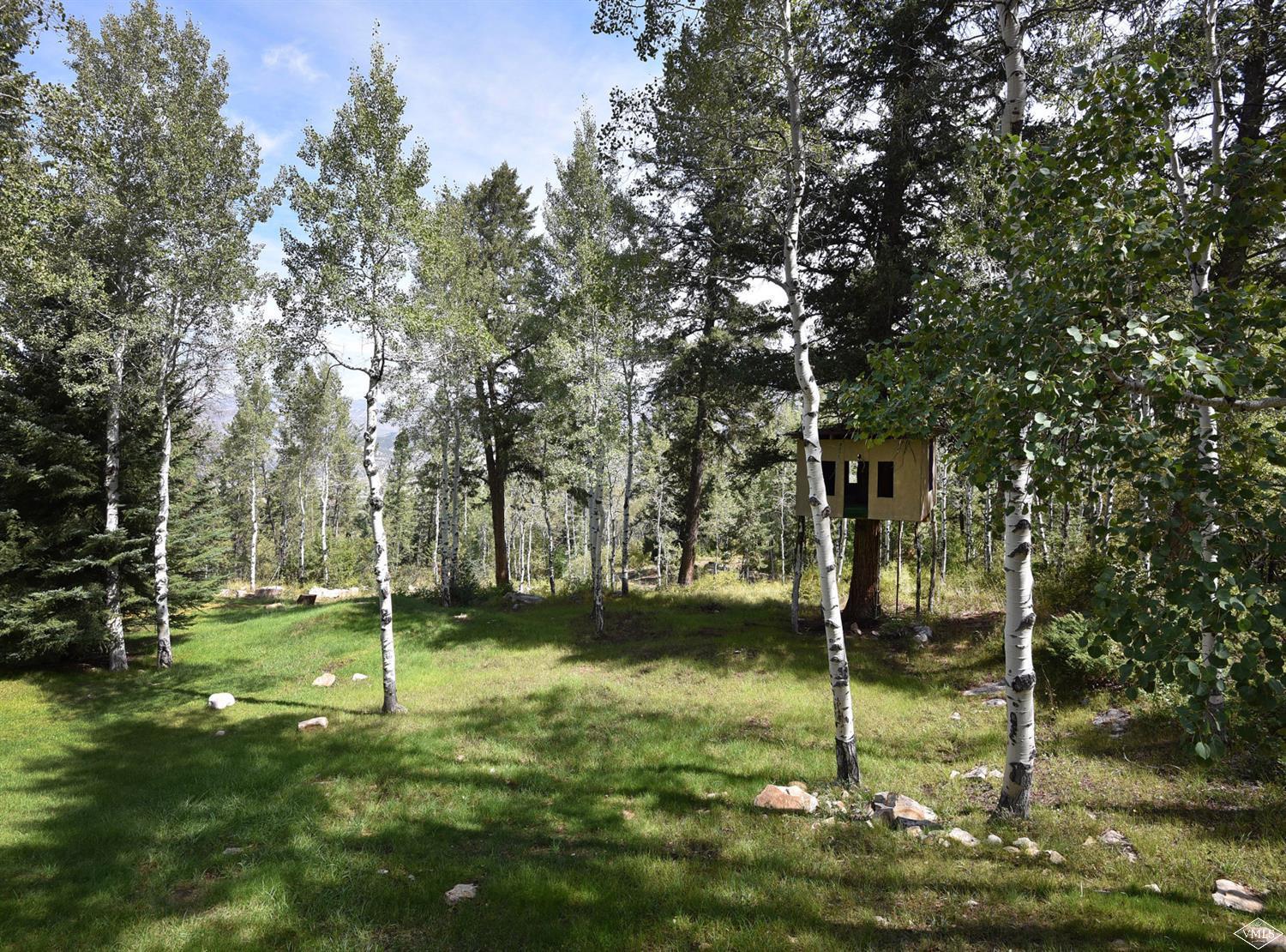 2754 Bellyache Ridge Road Wolcott, CO 81655 - Photo 2 of 25 Additional Photo