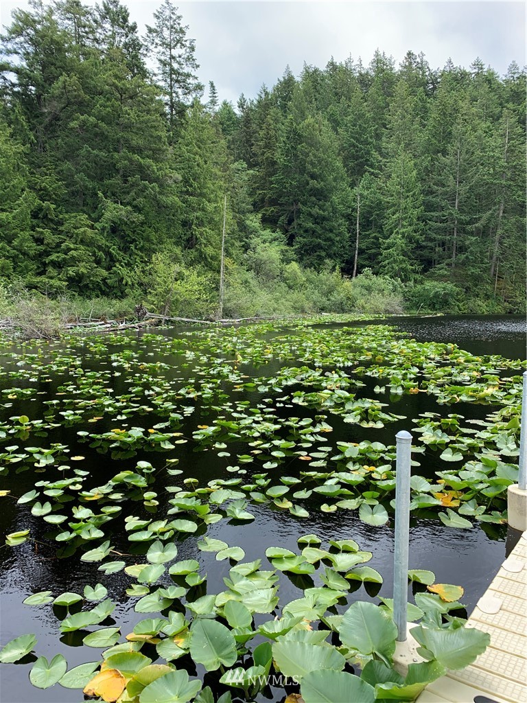 -nnn Trafton Road Anacortes, WA 98221 - Photo 13 of 15