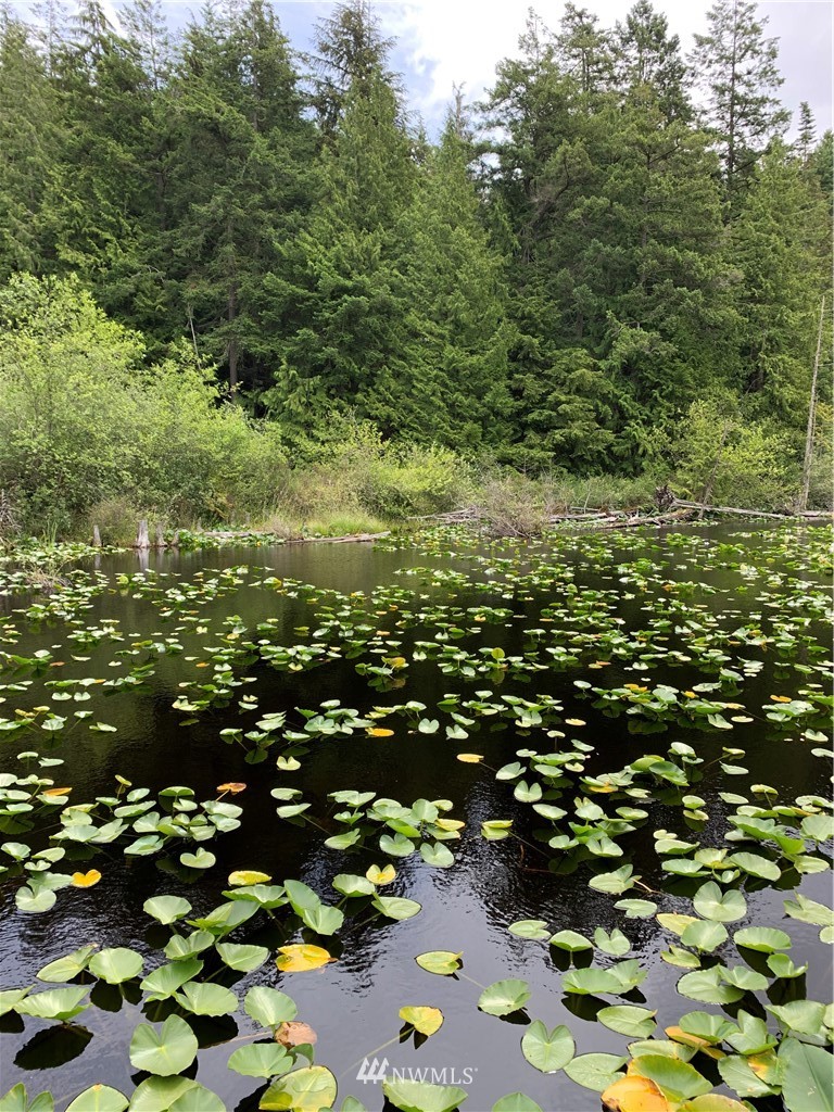 -nnn Trafton Road Anacortes, WA 98221 - Photo 14 of 15