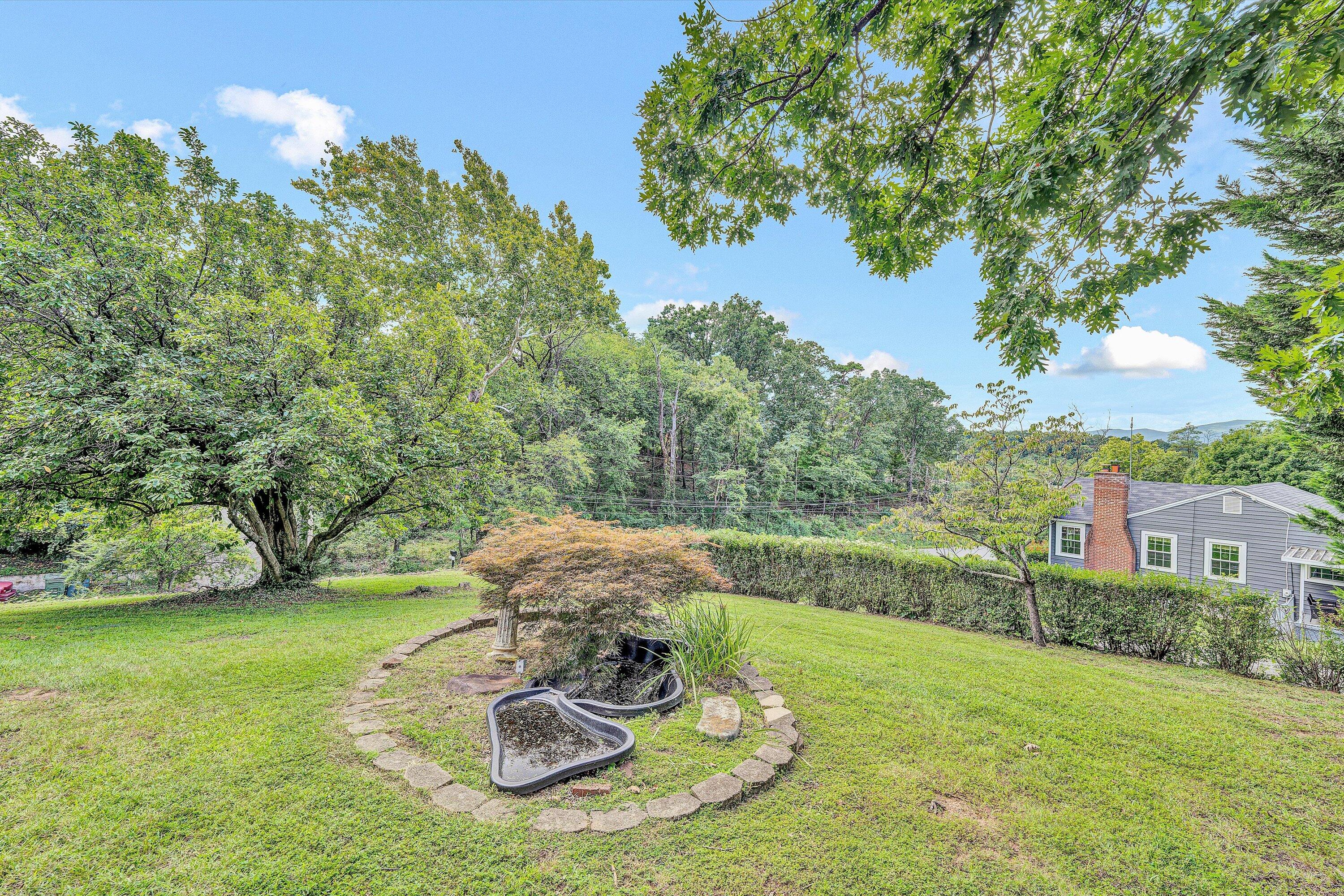 1703 Springfield Avenue Salem, VA 24153 - Photo 35 of 51 38-DSC00229