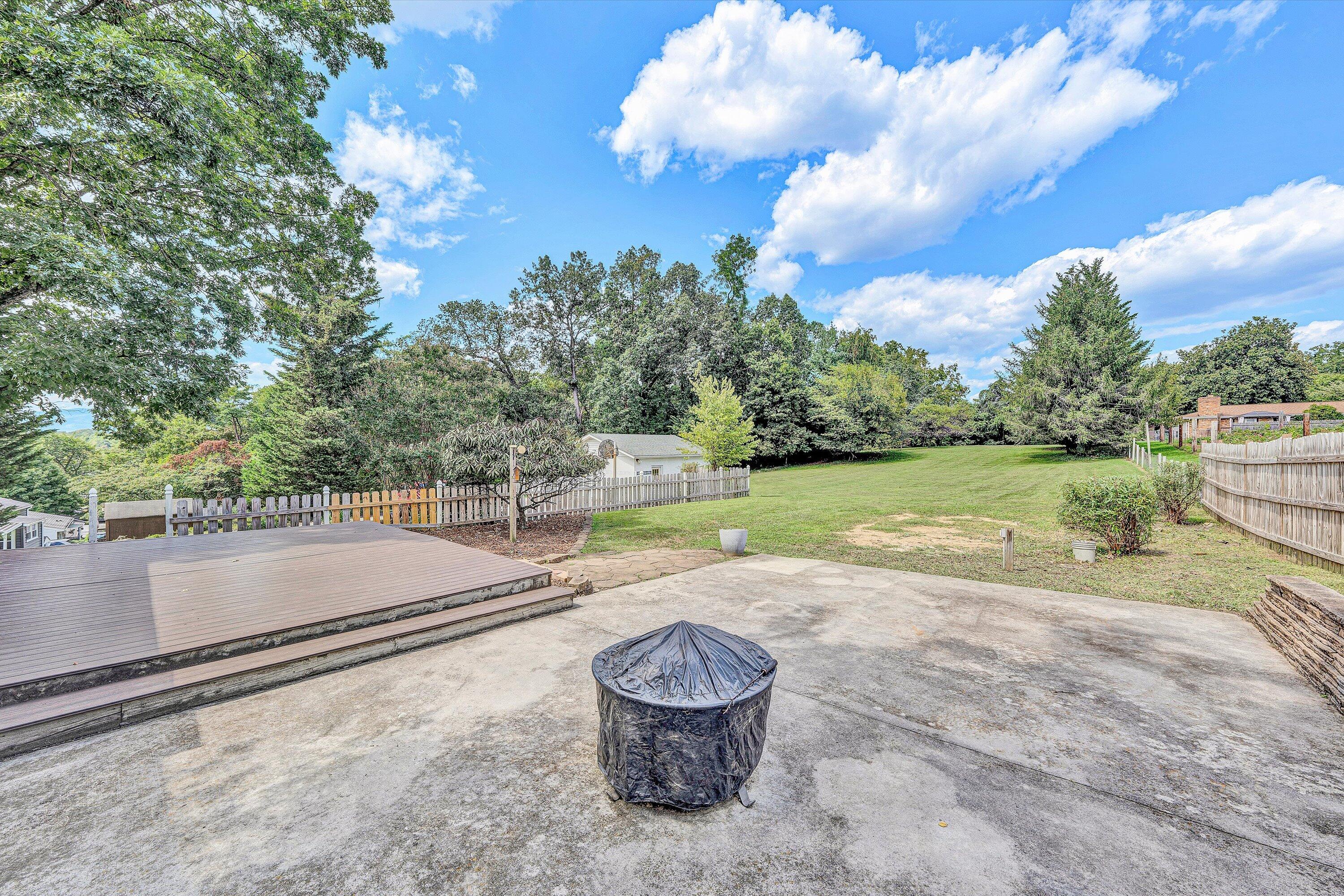 1703 Springfield Avenue Salem, VA 24153 - Photo 38 of 51 42-DSC00250