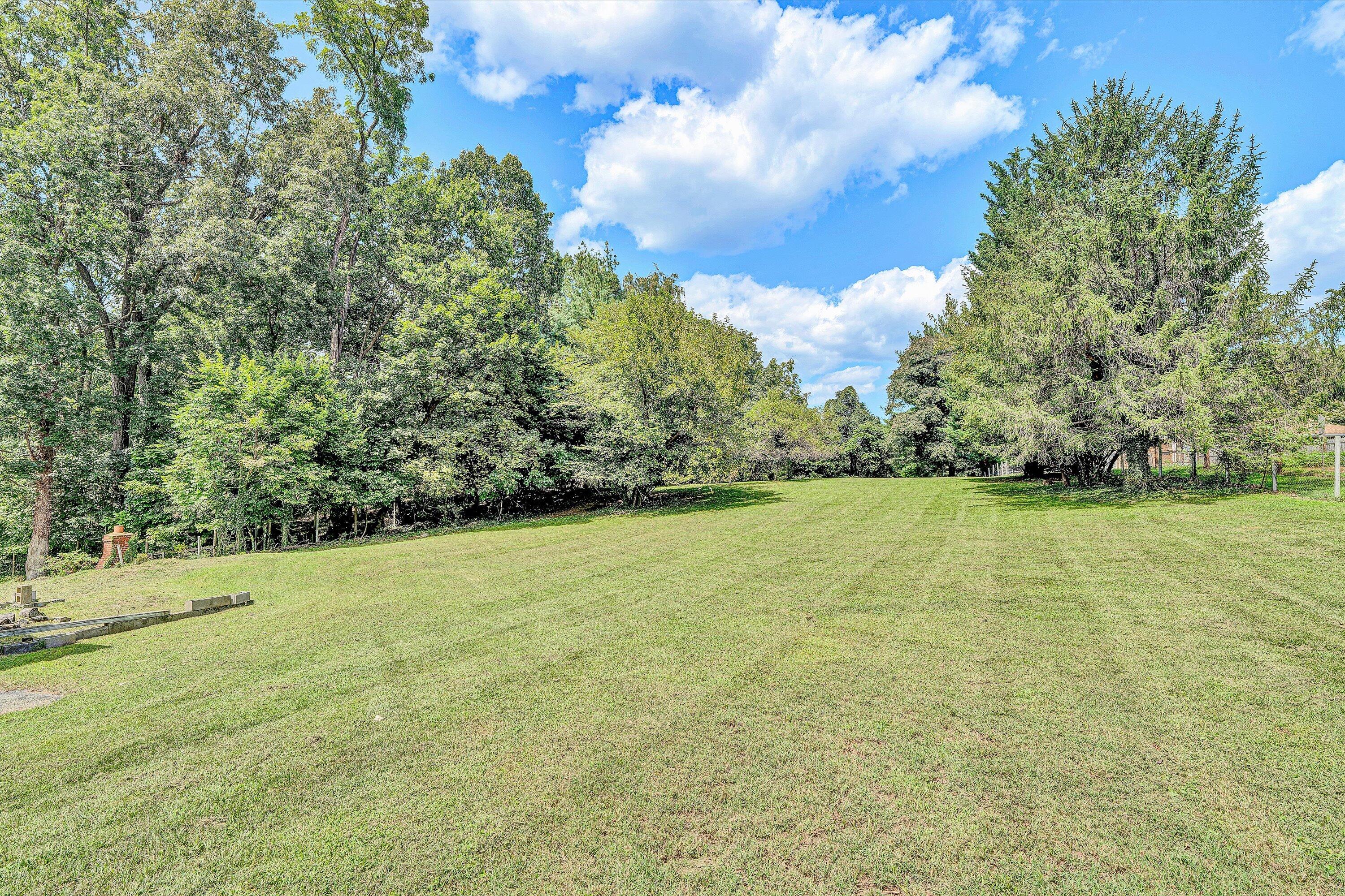 1703 Springfield Avenue Salem, VA 24153 - Photo 41 of 51 45-DSC00259
