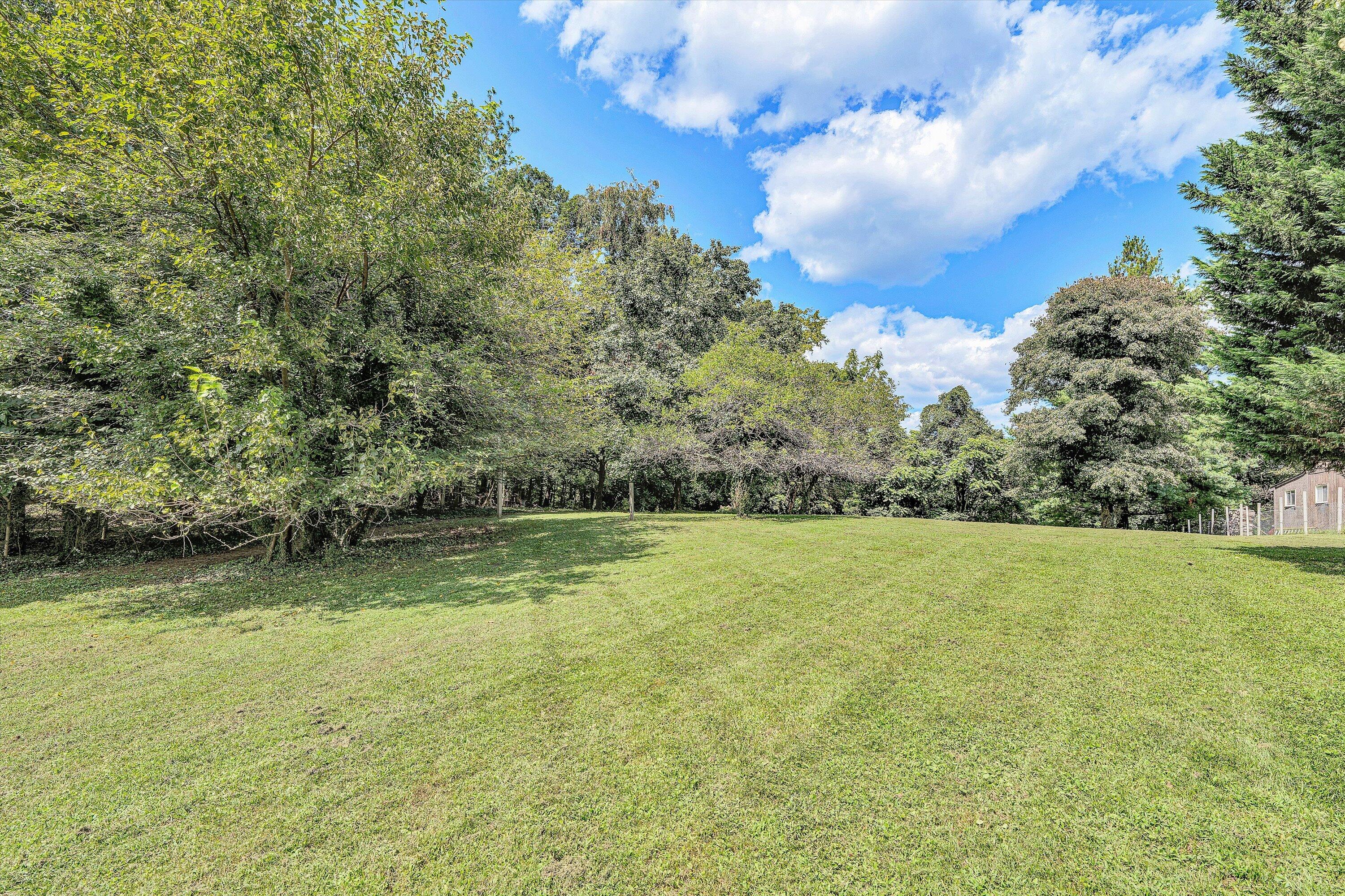 1703 Springfield Avenue Salem, VA 24153 - Photo 43 of 51 47-DSC00265