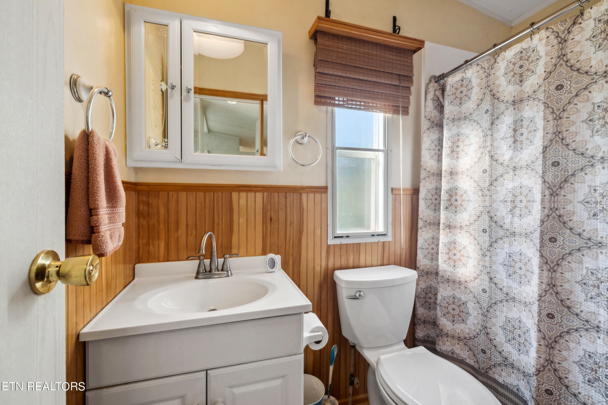 1022 Ridgeview Road Maryville, TN 37801 - Photo 15 of 24 a bathroom with a sink a toilet and a mirror
