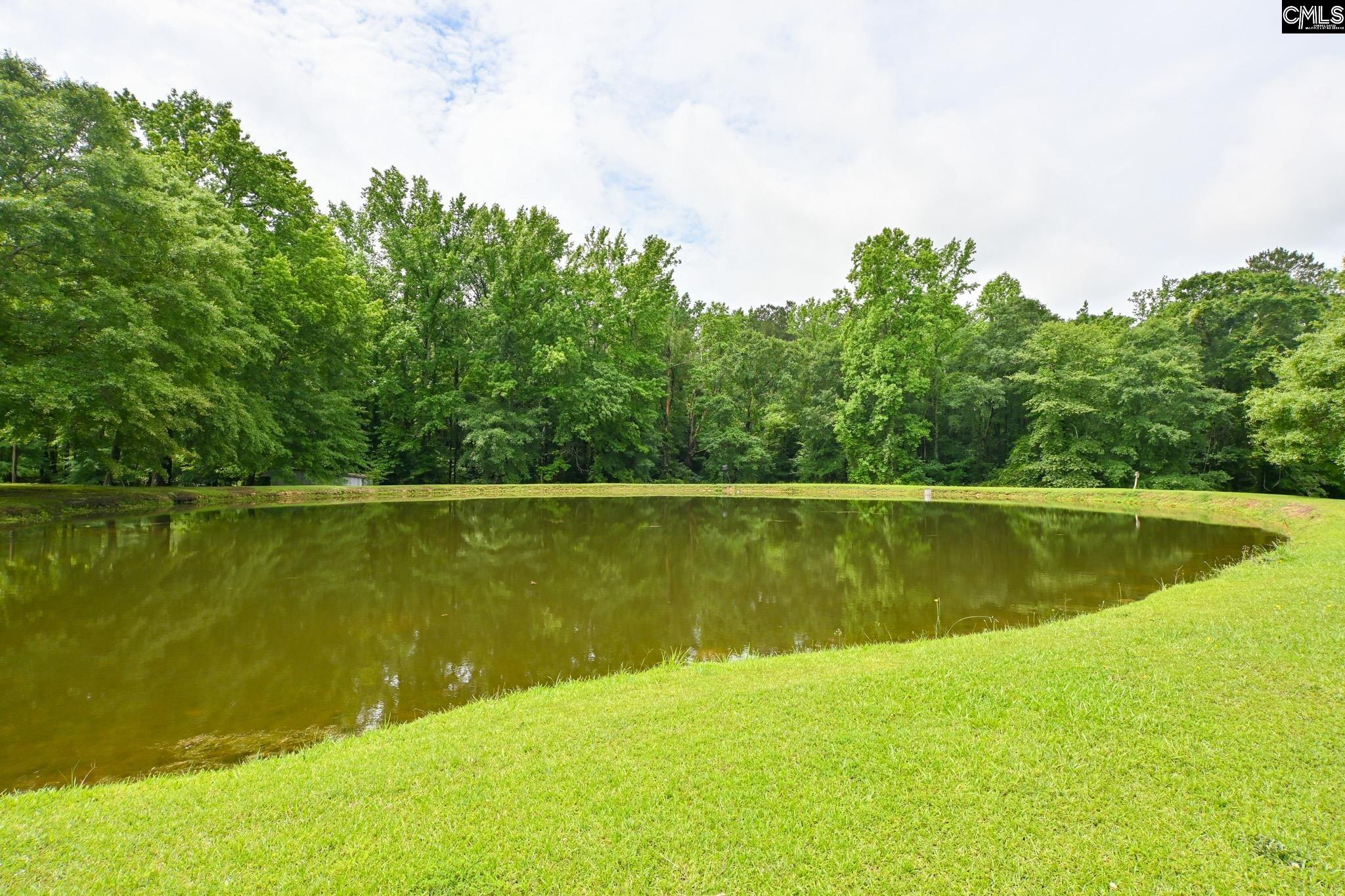 1941 State Rd S-32-1208 Leesville, SC 29070 - Photo 36 of 51
