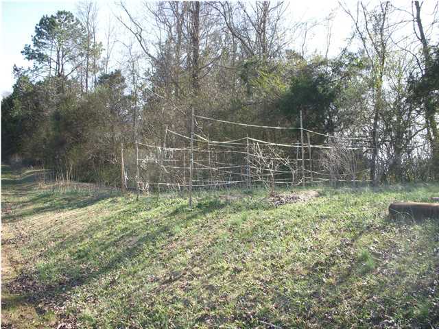 1287 Hall Memorial Road Calhoun, GA 30701 - Photo 12 of 32 Additional Photo