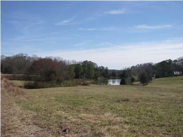 1287 Hall Memorial Road Calhoun, GA 30701 - Photo 13 of 32 Additional Photo