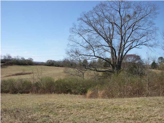 1287 Hall Memorial Road Calhoun, GA 30701 - Photo 26 of 32 Additional Photo