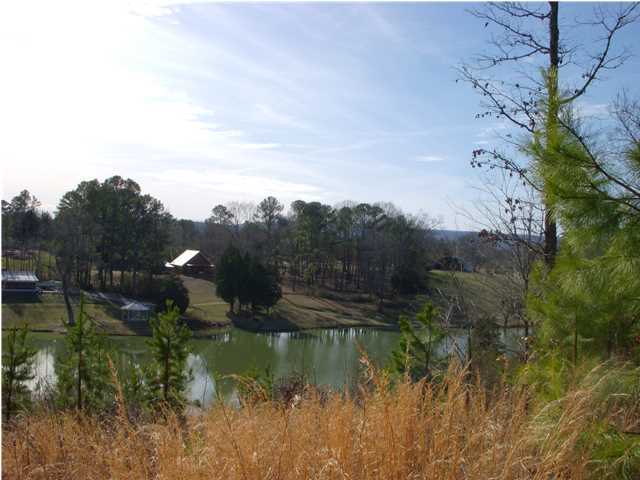 1287 Hall Memorial Road Calhoun, GA 30701 - Photo 3 of 32 Additional Photo