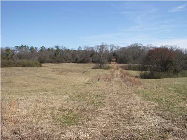 1287 Hall Memorial Road Calhoun, GA 30701 - Photo 7 of 32 Additional Photo