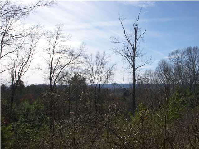 1287 Hall Memorial Road Calhoun, GA 30701 - Photo 10 of 32 Additional Photo