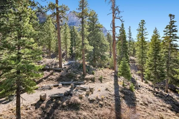 $950,000 | 5265 Whispering Deer Drive, Mount Charleston, NV 89124