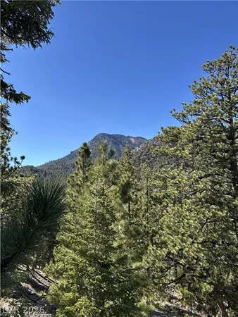 $950,000 | 5265 Whispering Deer Drive, Mount Charleston, NV 89124