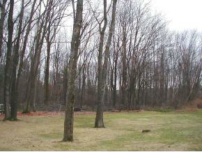 921 Forest Road Endwell, NY 13760 - Photo 3 of 3 Gallery Image 3