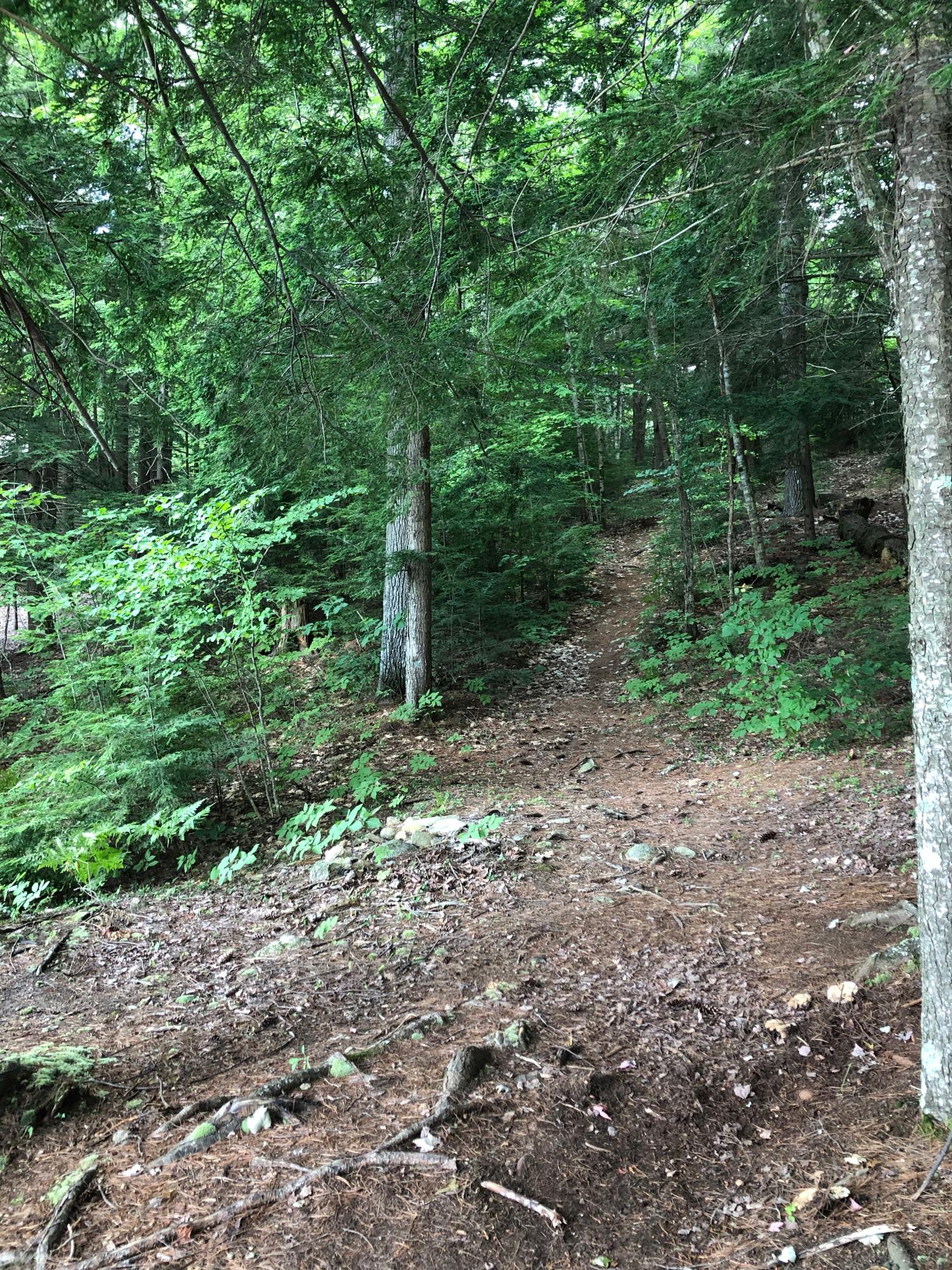 3 Benner Road Liberty, ME 04949 - Photo 18 of 18 IMG_3003