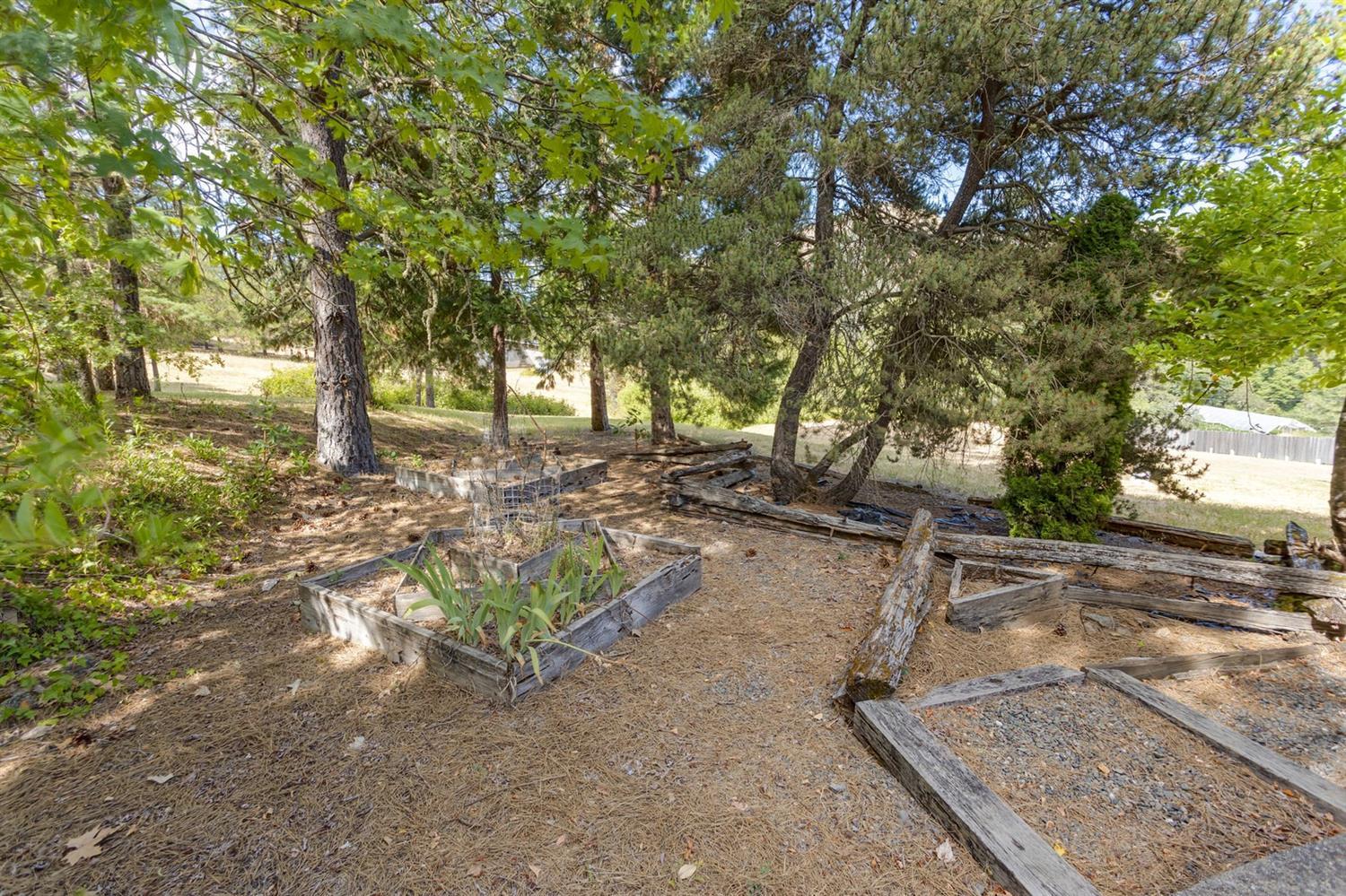 600 Schiefflin Gulch Road Gold Hill, OR 97525 - Photo 24 of 35 Additional Photo