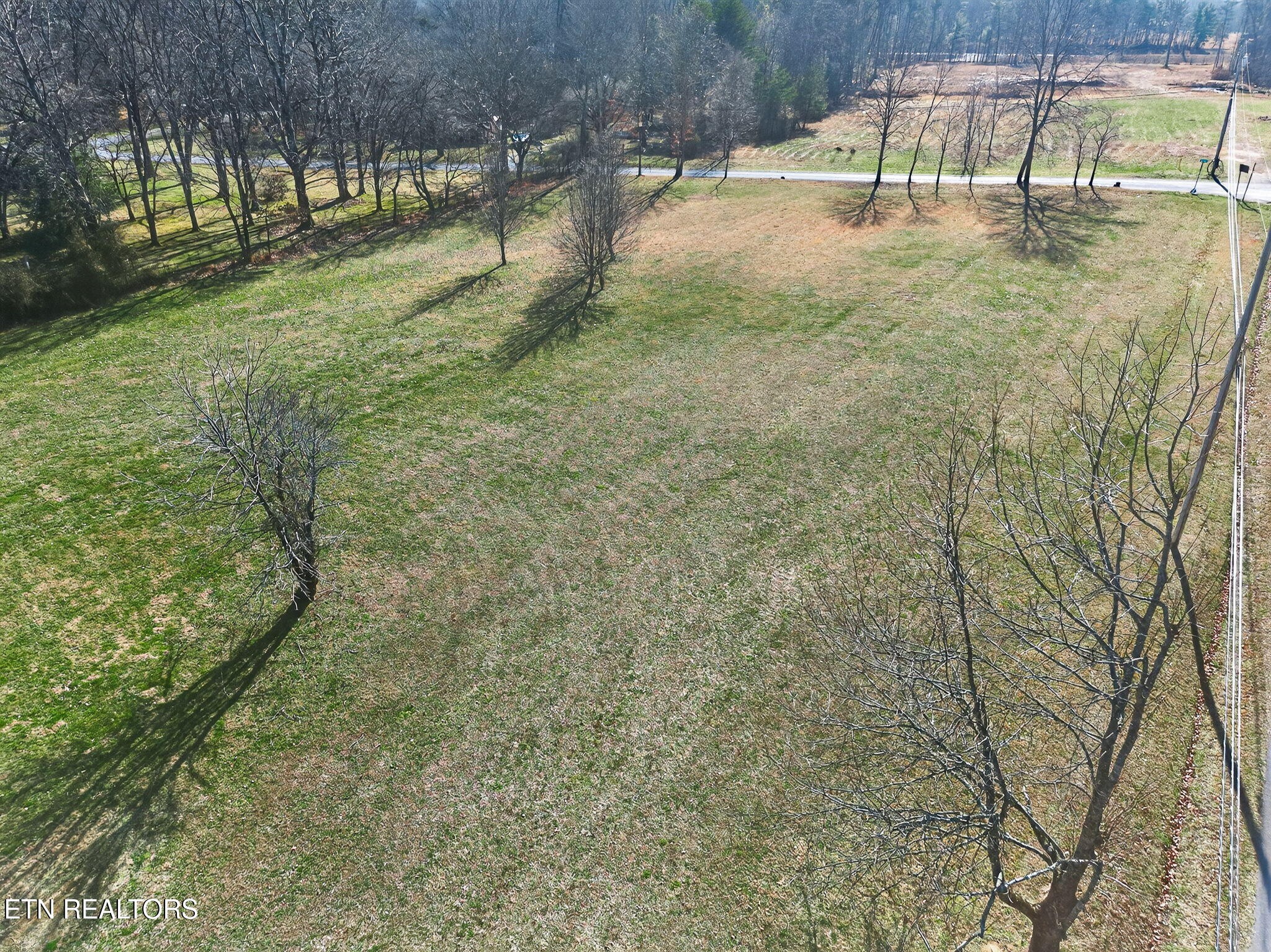 1 Chestnut Hill Road Crossville, TN 38571 - Photo 5 of 11 a view of yard with trees